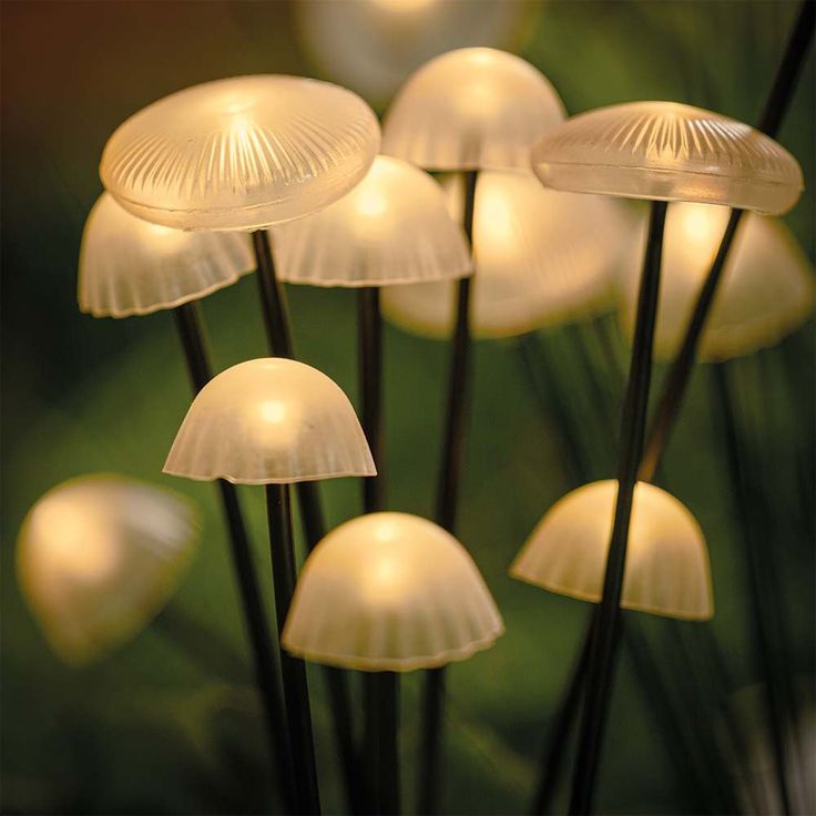 outdoor garden light