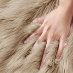 Classic Style Chair Cushion