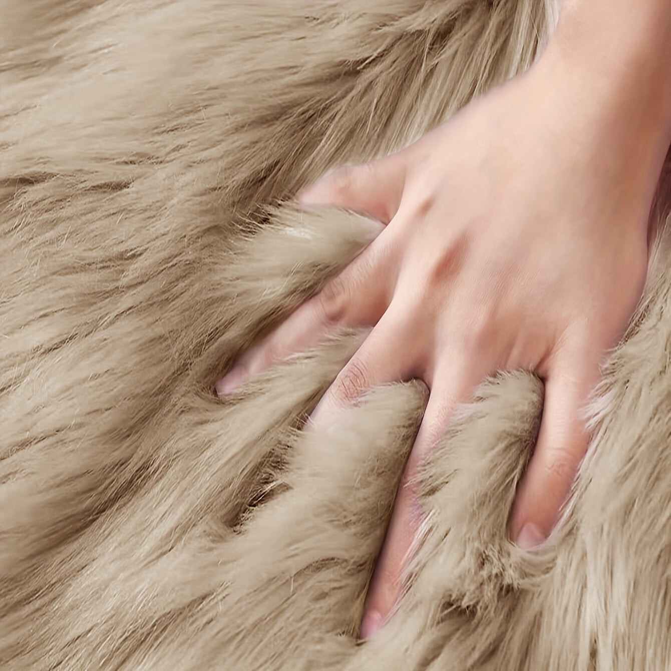 Classic Style Chair Cushion